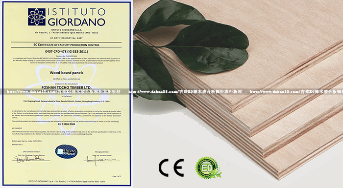 CE认证出口欧美榉木胶合板